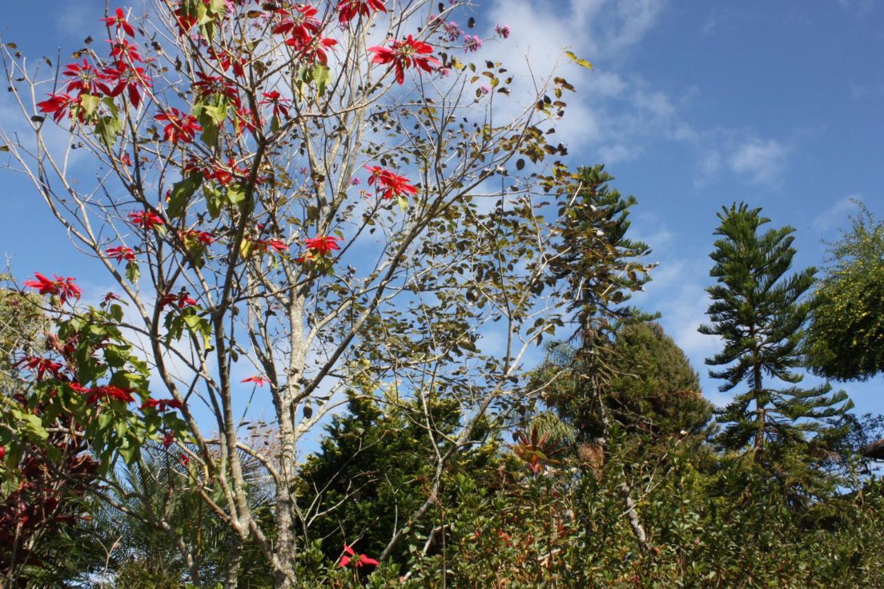 Pousada Campestre Sitio Da Lua Камандукая Екстериор снимка